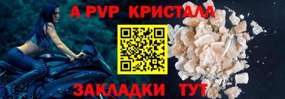 дмт Кингисепп