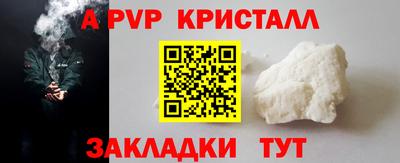 дмт Кингисепп