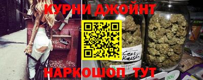 дмт Кингисепп