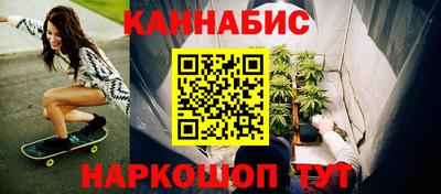дмт Кингисепп