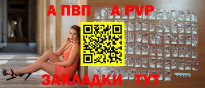 дмт Кингисепп